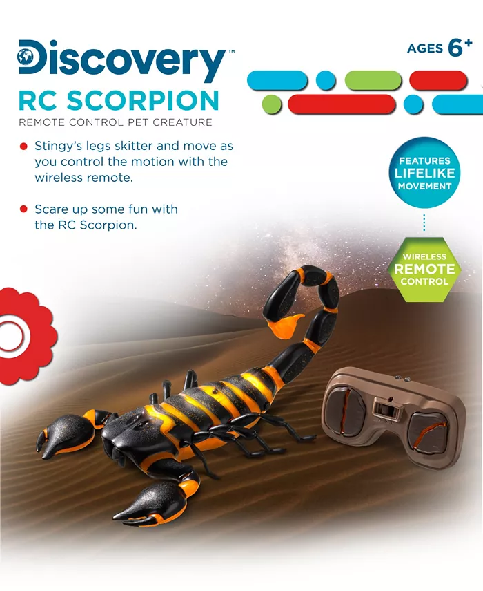 Discovery Kids RC Scorpion  Glow In The Dark Body  Wireless Remote-Control Toy for Kids