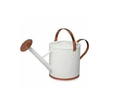 Brown Color Finished Plant Watering Iron Can Manufacturer Custom Handmade Iron Metal Plant Watering Can