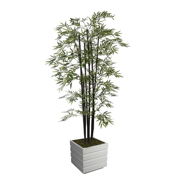 78 Tall Bamboo Tree with Decorative Black Poles and Fiberstone Planter