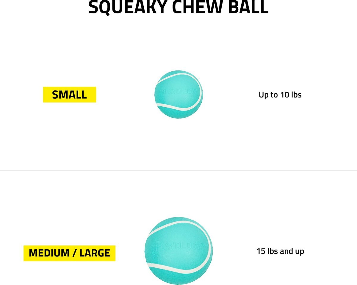 Playology Scented Squeaky Chew Ball Dog Toy