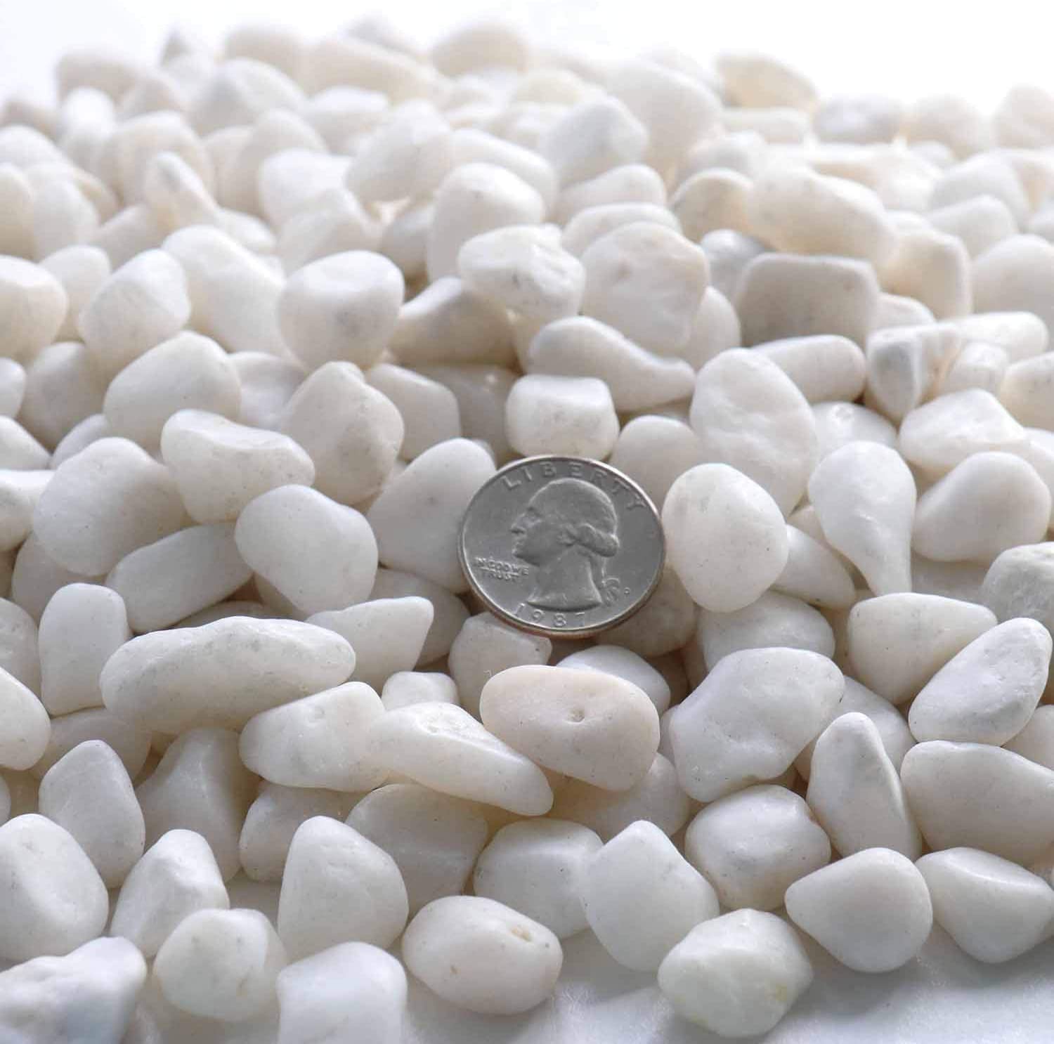 Koltose by Mash - Polished White Bean Pebbles, 1” - 2” inch Natural Decorative Stones, 10 lbs