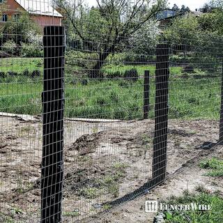 Fencer Wire 6 ft. x 100 ft. 12.5-Gauge Welded Wire Fence with Mesh 2 in. x 4 in. WB125-6X100M24