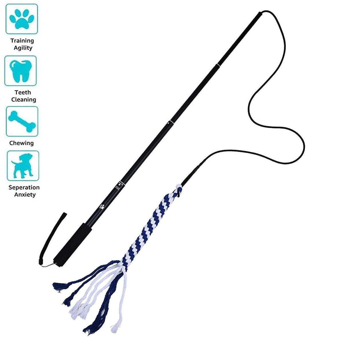 Miman Pets Toys Interactive Extendable Flirt Pole Funny Chasing Tail Teaser And Exerciser For Dogs Interactive-blue(s)