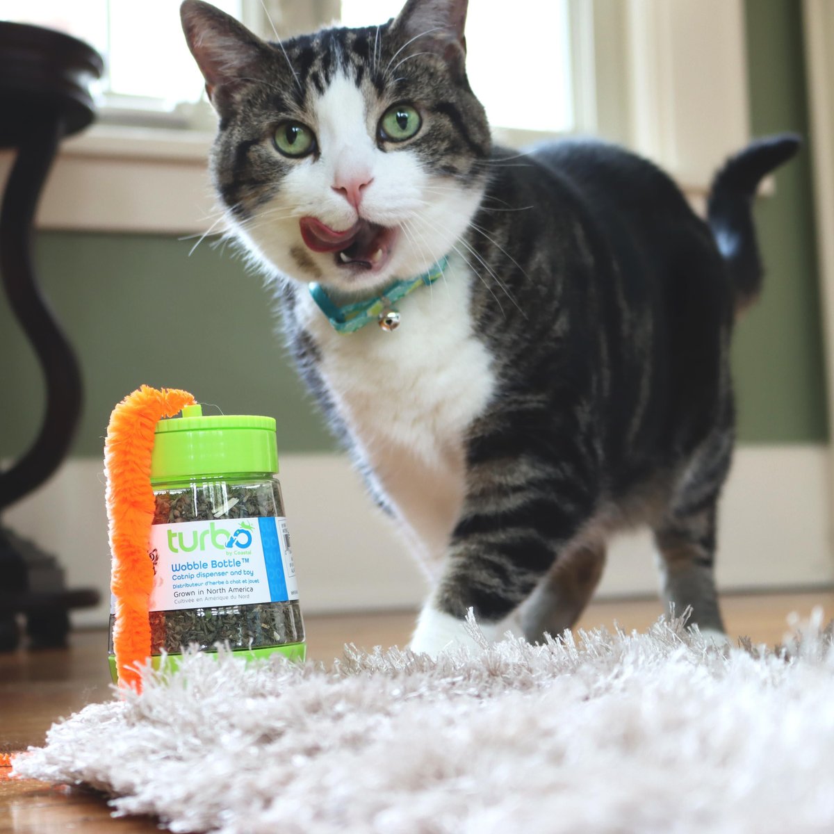 Turbo Wobble Bottle Cat Toy with Catnip