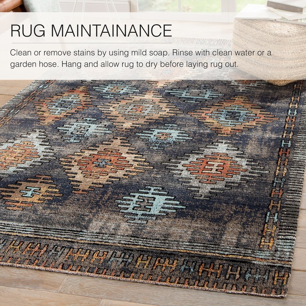 Dez Indoor and Outdoor Tribal Area Rug