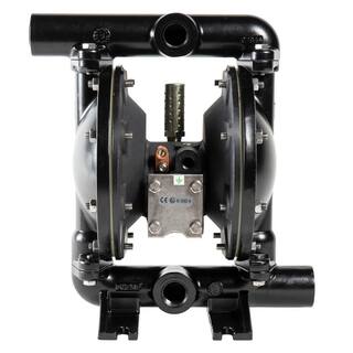 ARO Pump ASM 34 in. Metal Diaphragm Pump 666070-3EB-A