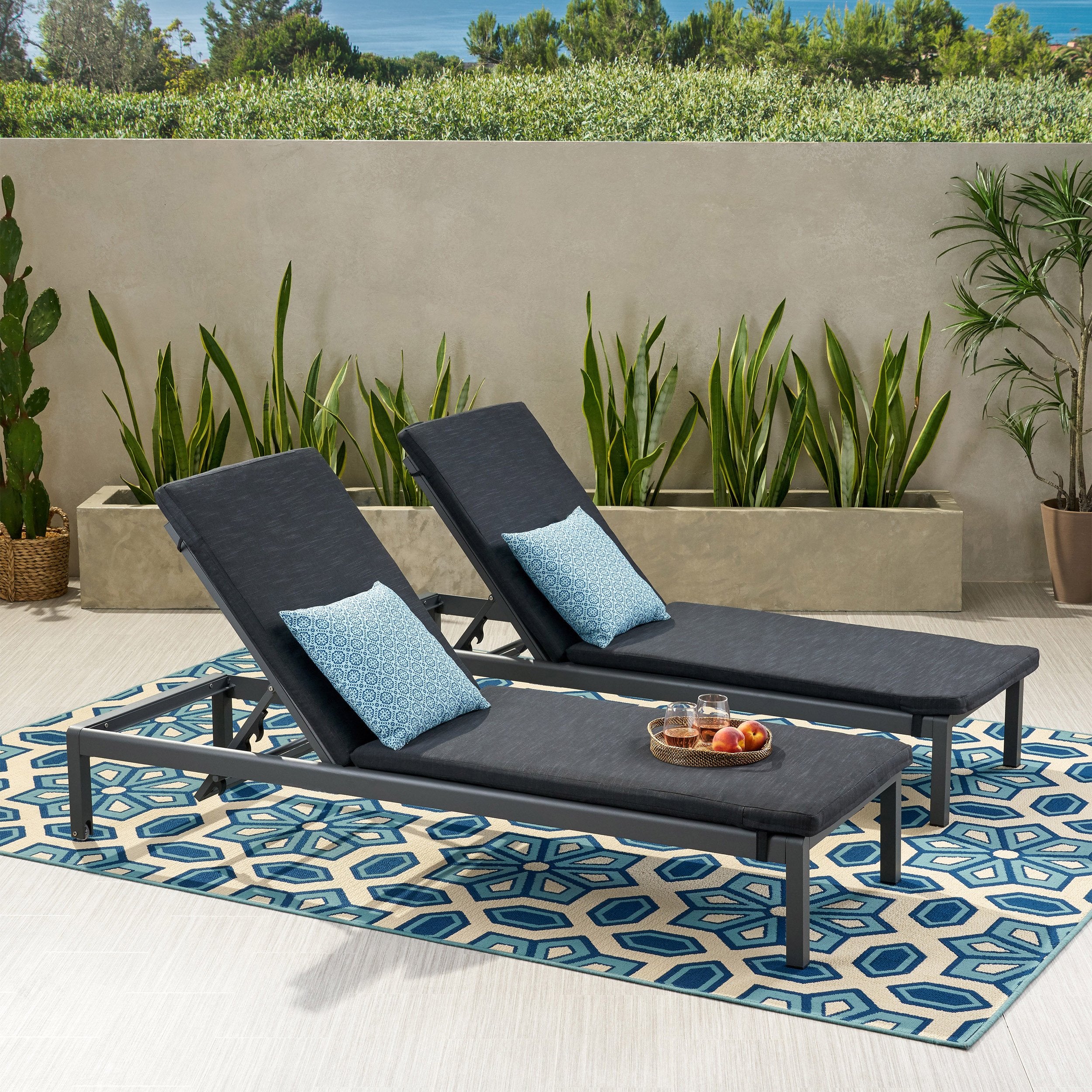 Cherie Modern Outdoor Adjustable Chaise Lounge with Cushion