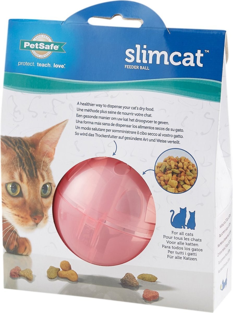 PetSafe SlimCat Interactive Cat Feeder