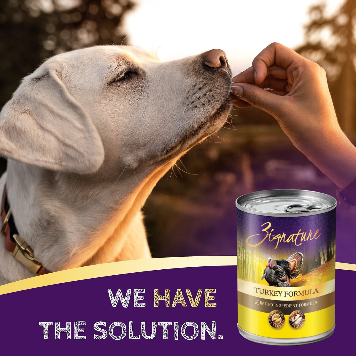 Zignature Turkey Limited Ingredient Formula Canned Dog Food