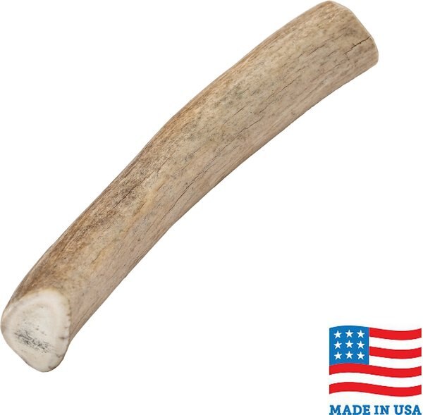 Bones and Chews Made in USA Deer Antler Dog Chew， 8.0 - 9.5-in Large