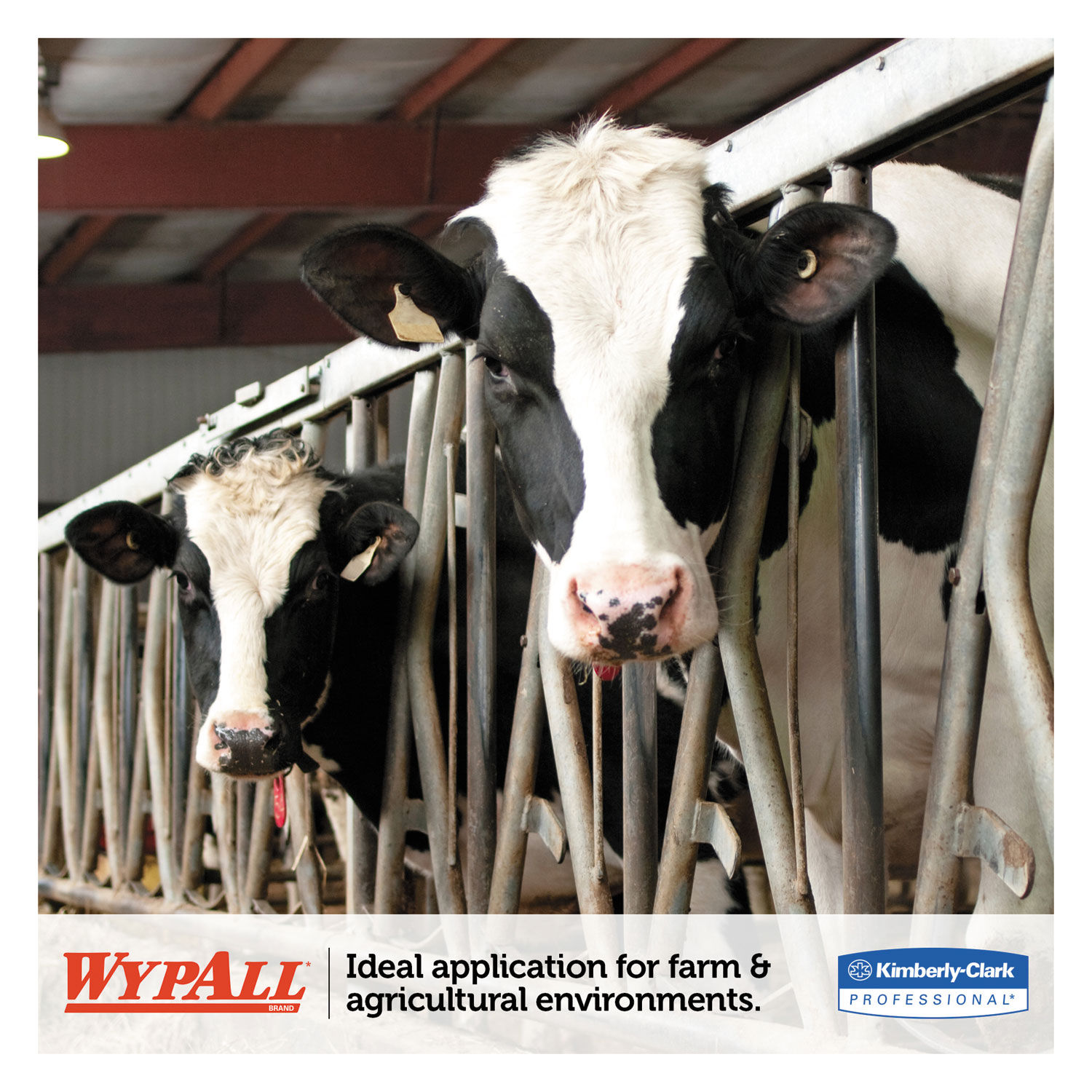 L10 SANI-PREP Dairy Towels by WypAllandreg; KCC01772