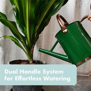 Dyiom 1 Gal. Green Metal Watering Can with Removable Spout Rainwater Harvesting System B0B34XLGV9