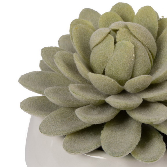 Vickerman FA192204 3.5 Succulents Assorted Set Pk...