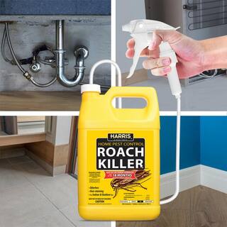 Harris 1 Gal. Roach Killer Spray (2-Pack) 2HRS-128