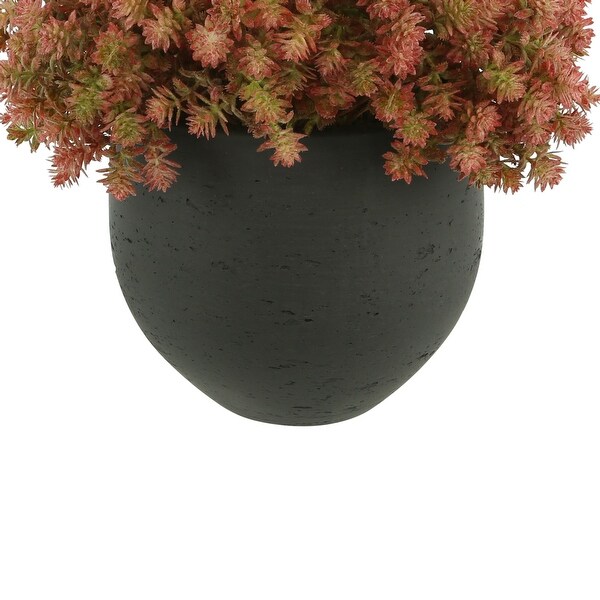 Sedum Arrangement in a Fiberstone Pot