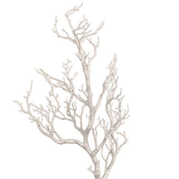 31 Potted Deadwood Twig Tree