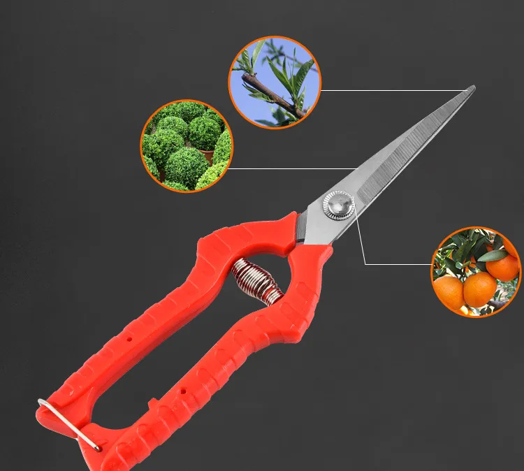 Factory Direct Sale Stainless Steel Garden Shears Pruning Thin Fruit Garden Finishing Shears Tool