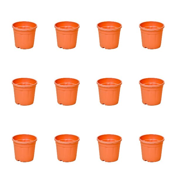 4 inch (10 cm) Grower Round Plastic Pot