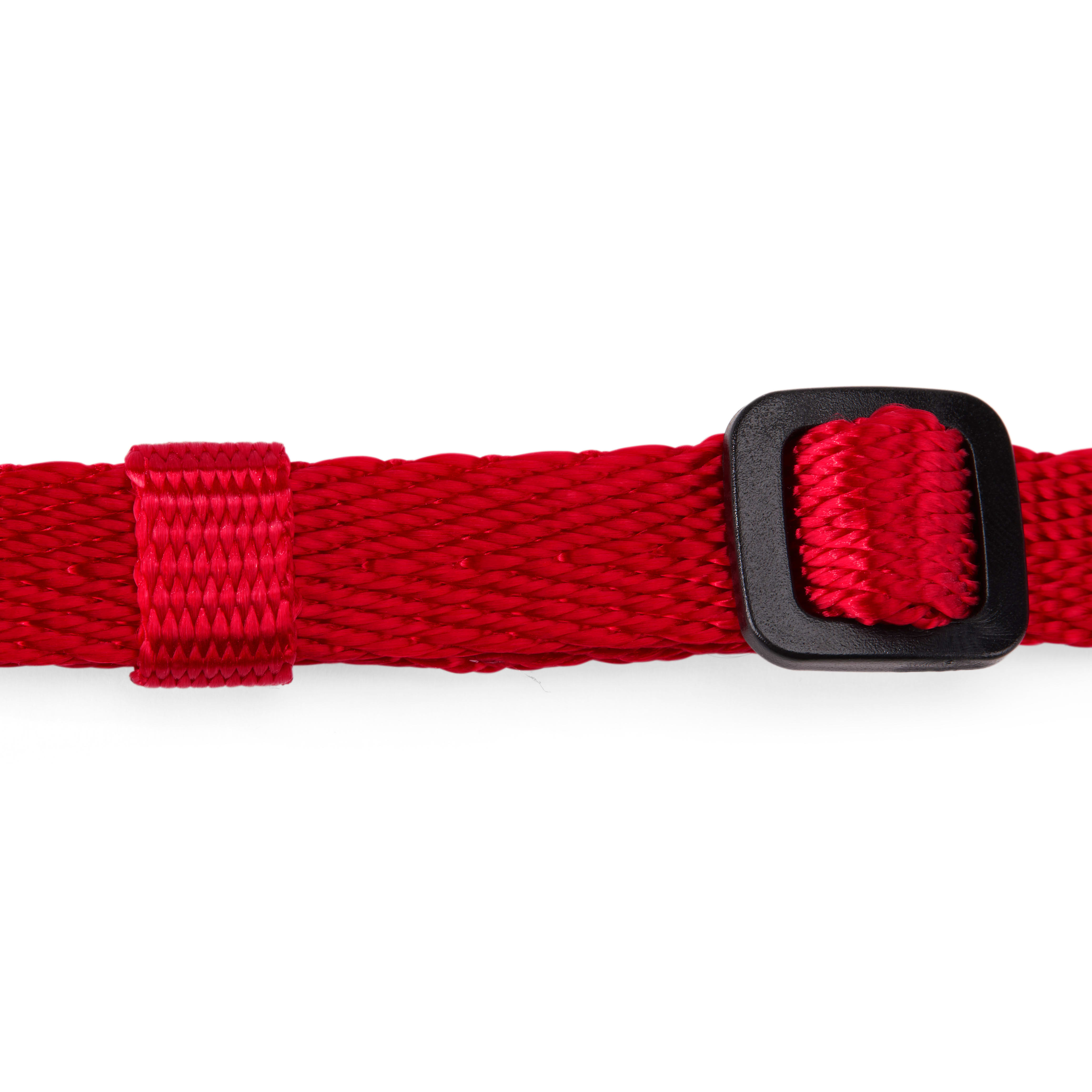 YOULY The Classic Red Webbed Nylon Dog Collar， Small