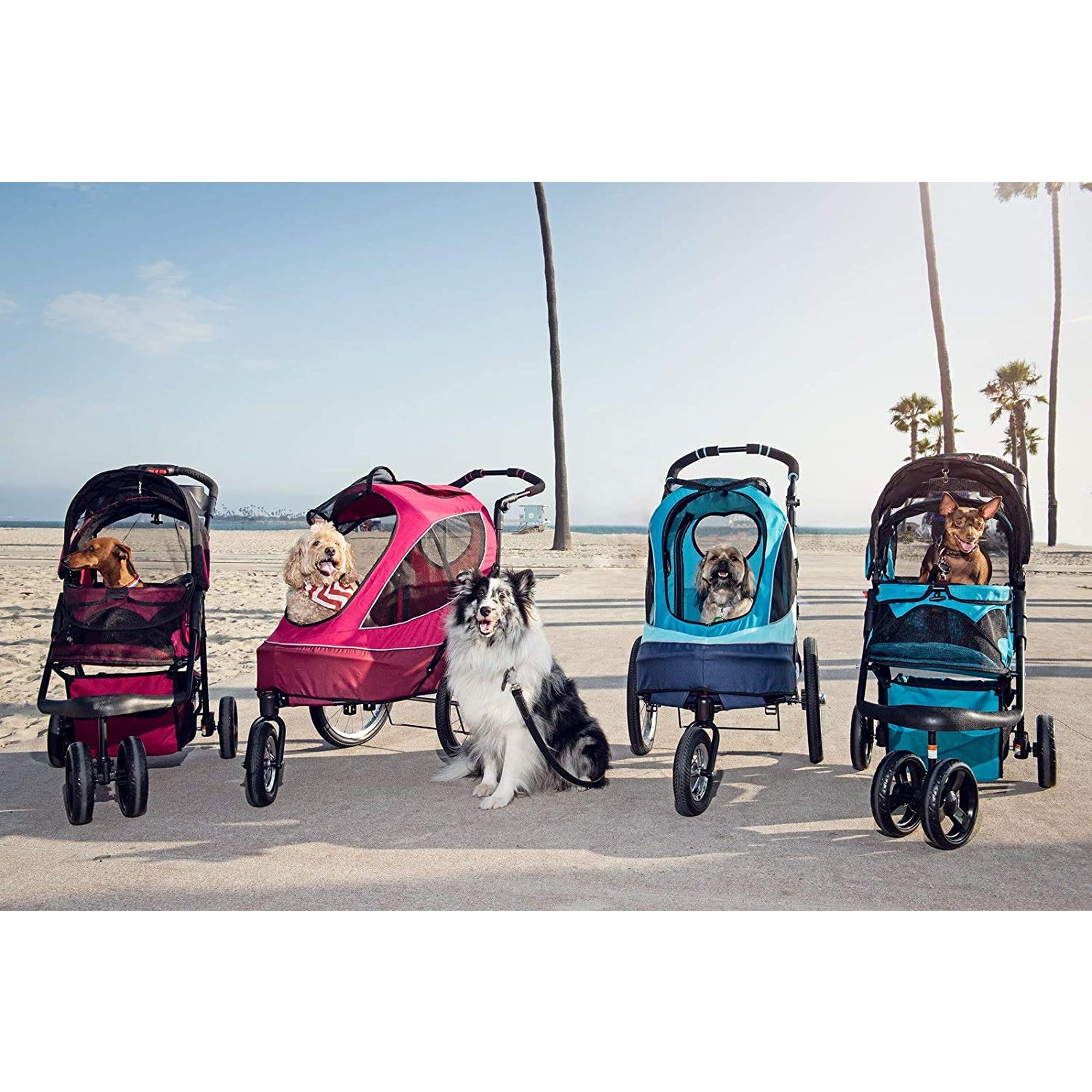 PETIQUE Durable Folding Pet Stroller with Mesh Sides for Dogs and Cats