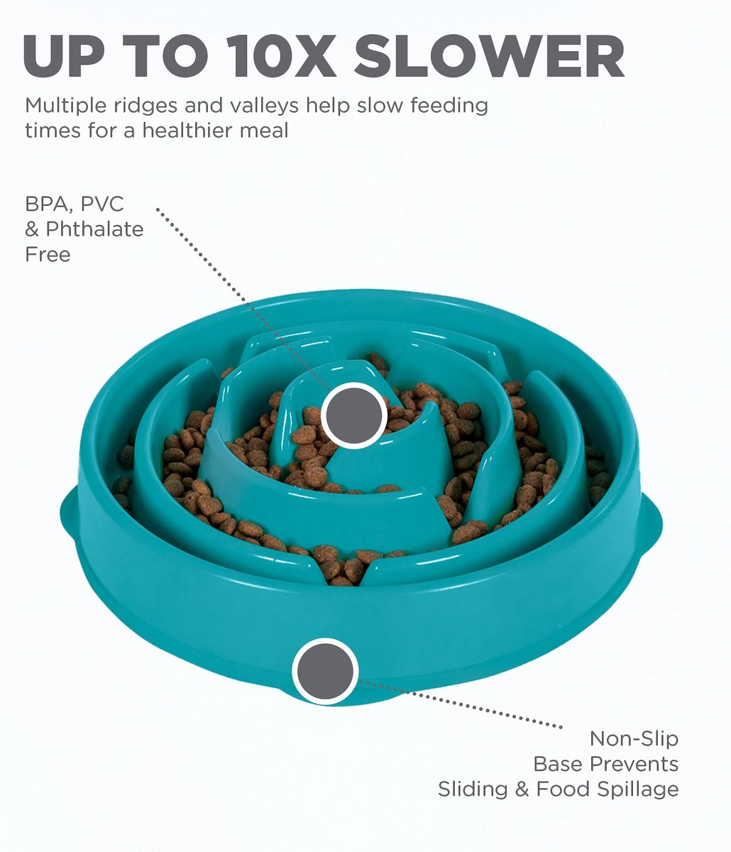 Outward Hound Non-Skid Plastic Slow Feeder Interactive Dog Bowl