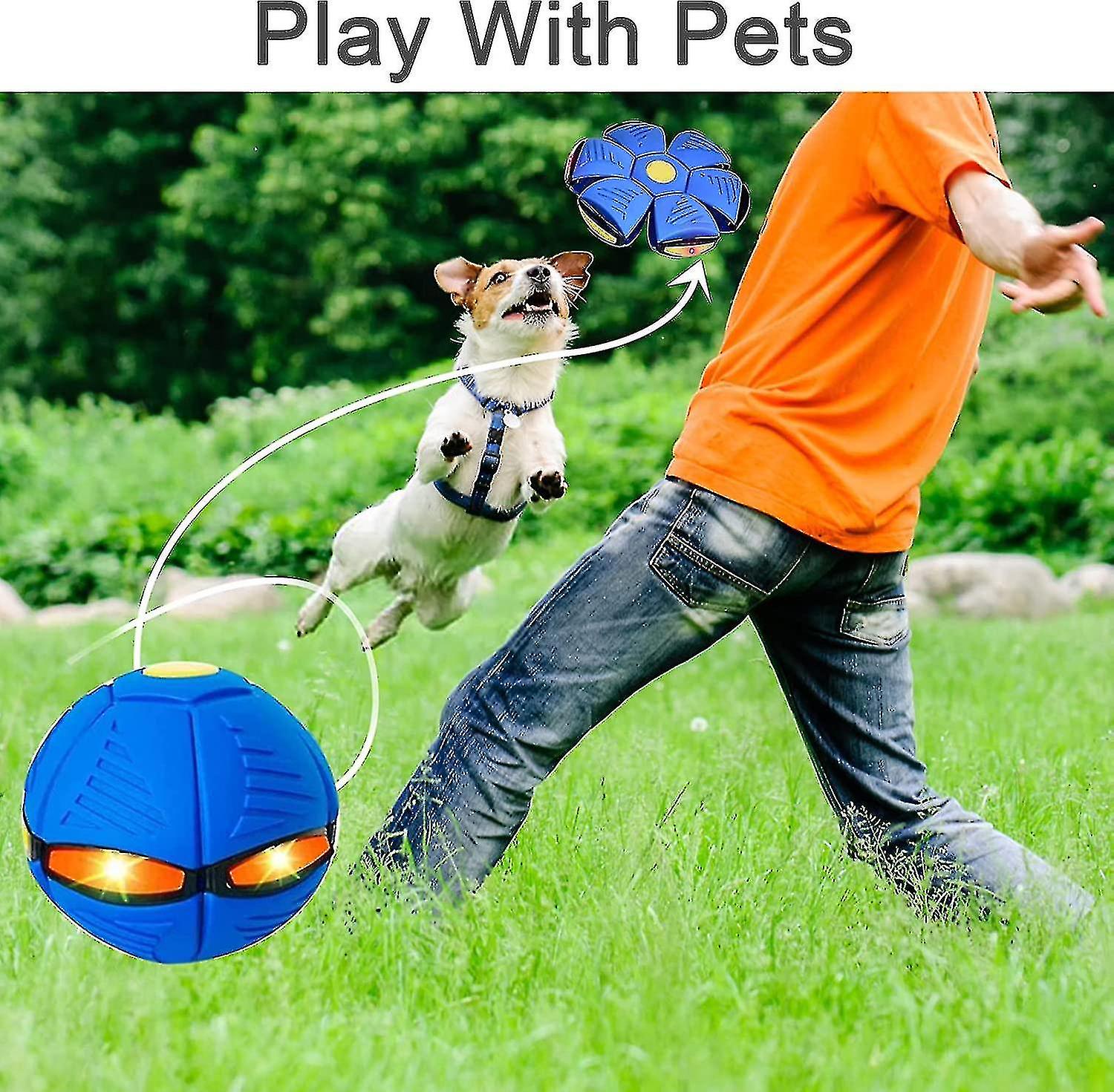 2023 New Pet Toy Flying Saucer Ball， Flying Saucer Ball Dog Toy， Pet Toy Flying Saucer， Flying Saucer Dog Toy Ball For Dogs