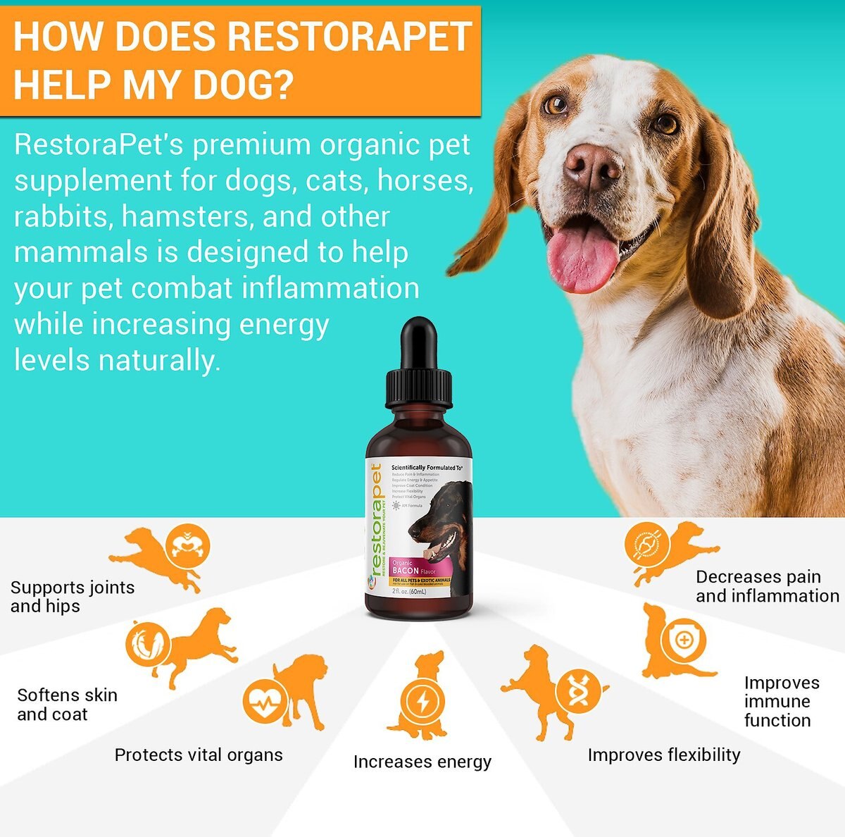 RestoraPet Antioxidant Organic Bacon Flavor Dog and Cat Supplement， 2-oz bottle