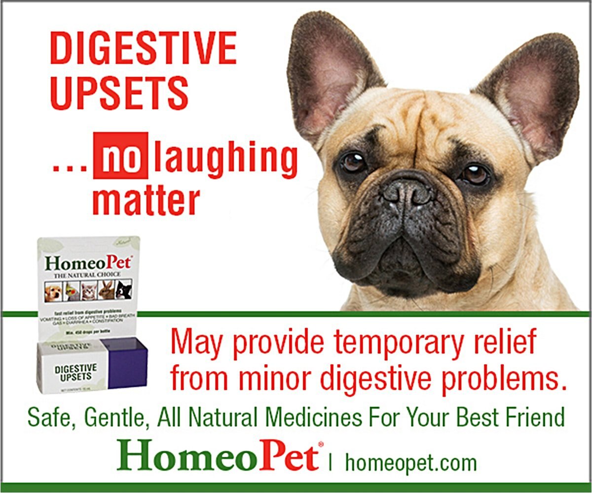 HomeoPet Digestive Upsets Homeopathic Medicine for Digestive Issues for Birds， Cats， Dogs and Small Pets