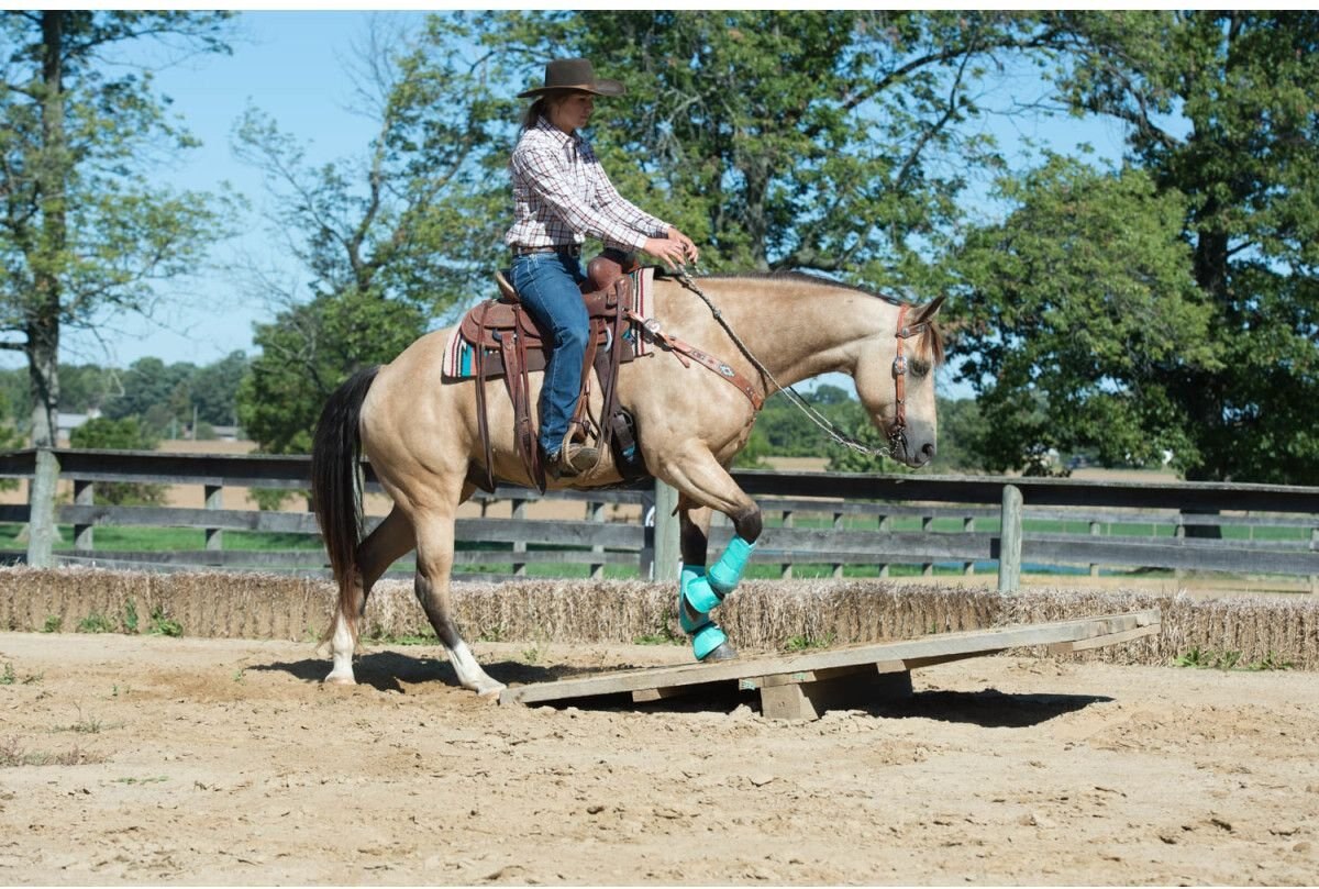 Weaver Leather AirFlex Roper Cinch and Roll Snug Horse Cinch Buckle