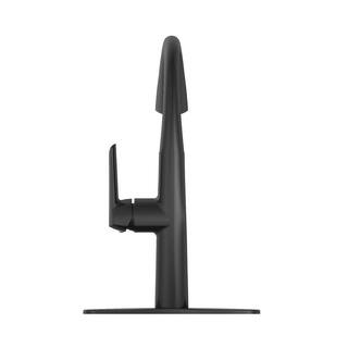 PRIVATE BRAND UNBRANDED Deveral Single-Handle Pull Down Sprayer Kitchen Faucet in Matte Black D00140O