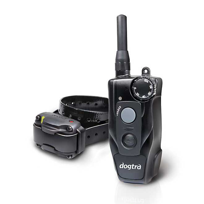 Dogtra 200C 1-Dog Training Collar