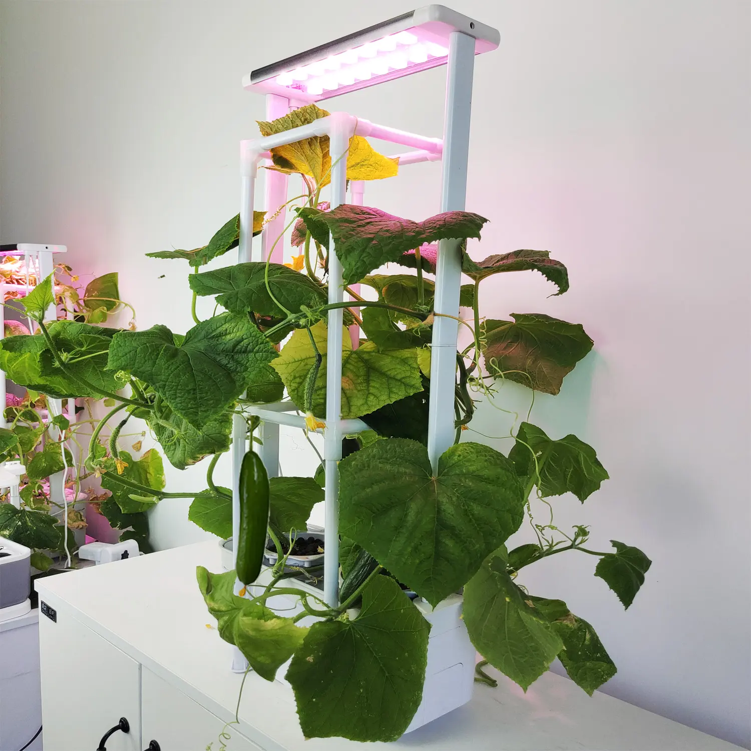 Big Smart Indoor Hydroponic system garden set high ppfd premium grow light complete set Garten indoor garden supplies