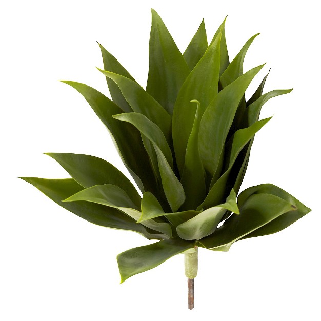 Agave Succulent Plant (set Of 2)