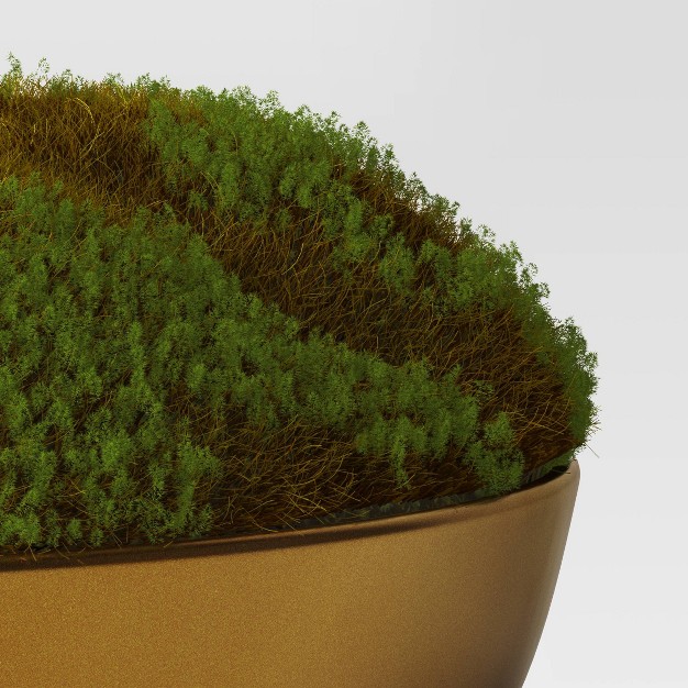 Moss In Gold Bowl - Threshold