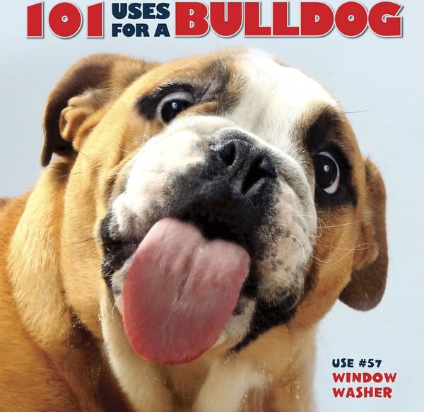 101 Uses For A Bulldog