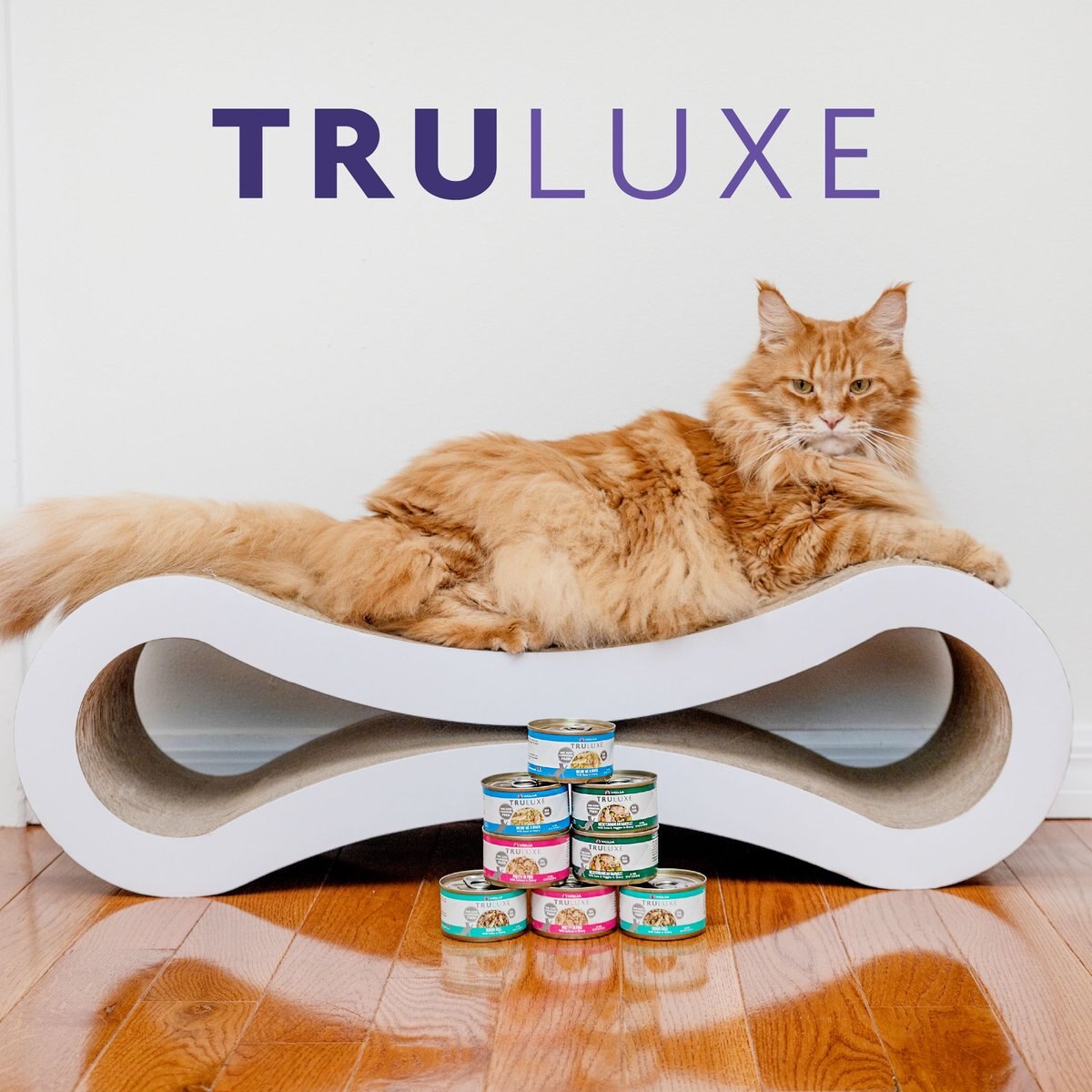 Weruva Truluxe Quick 'N Quirky with Chicken and Turkey in Gravy Grain-Free Canned Cat Food