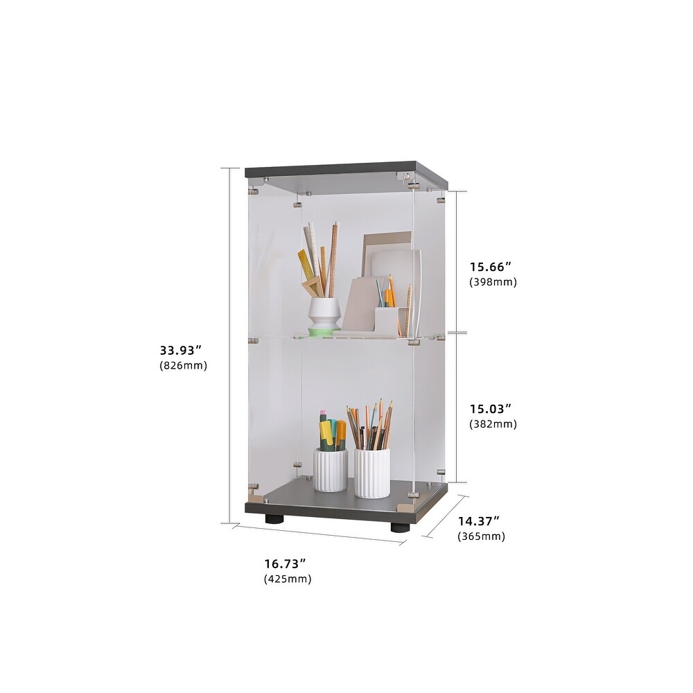 Modern Glass Curio Display Cabinet Floor Bookshelf with 2 Shelves