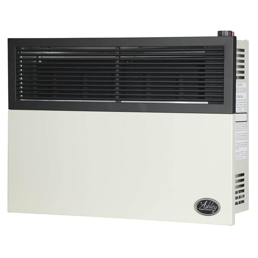 Ashley Hearth Products 17000 BTU Direct Vent Natural Gas Heater