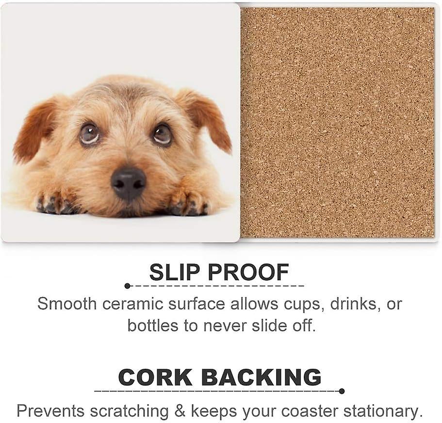 Printed Square Norfolk Terrier Dog Looking Up Ceramic Coasters With Cork-backed For Coffee Drink Cup Mat Absorbent Stone Coaster Set Of 4/6