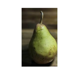 7 Gal. Flordahome Pear Tree PEAFLO07G