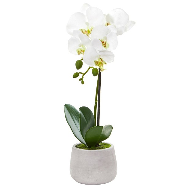 Nearly Natural 15 in Phalaenopsis Orchid Artificial Arrangement set Of 2