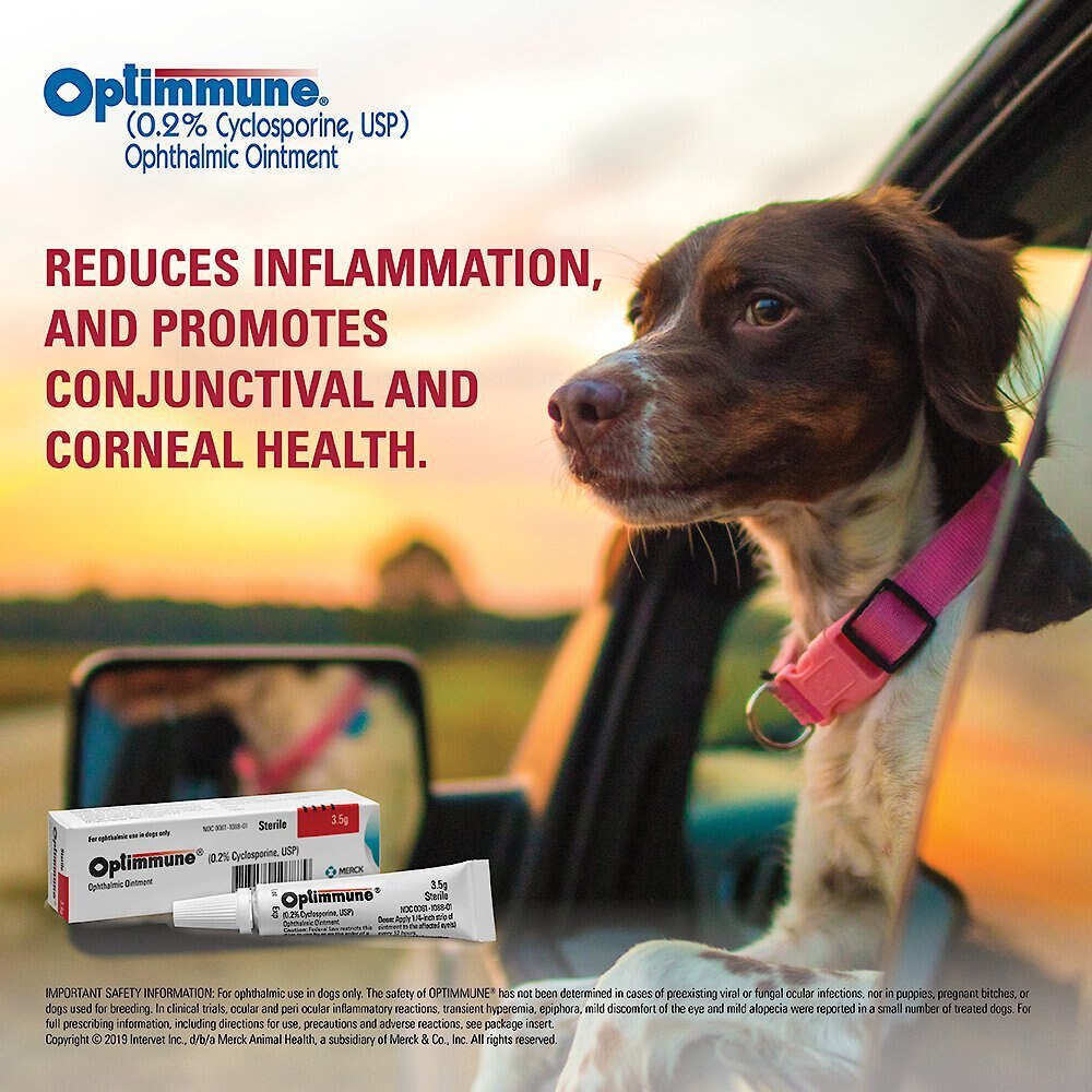 Optimmune (0.2% Cyclosporine) Ophthalmic Ointment for Dogs