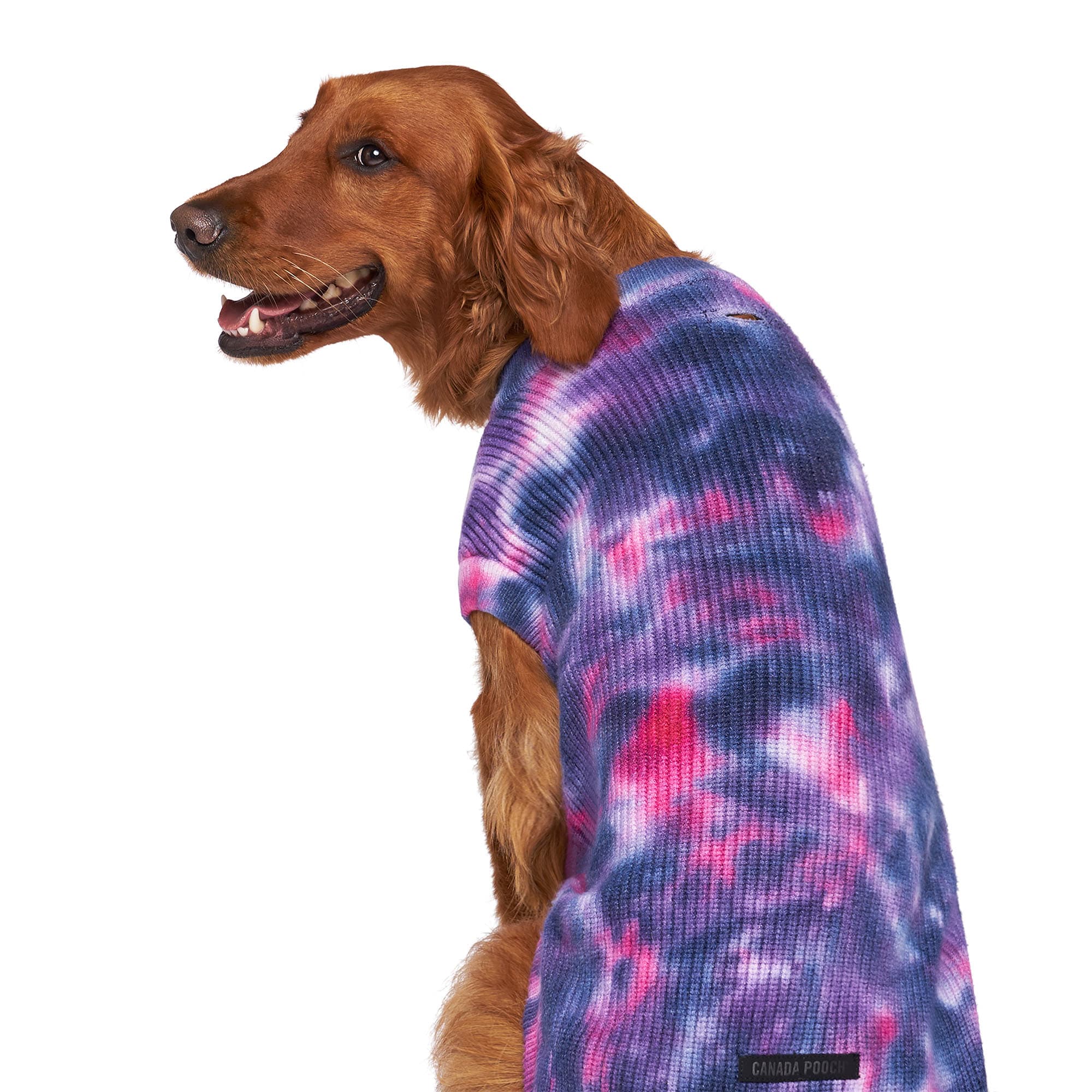 CANADA POOCH Purple Wild Side Dog Sweater， XX-Large