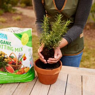 Back to the Roots 8-Pack: All-Purpose Potting Mix 6 Quarts 47006