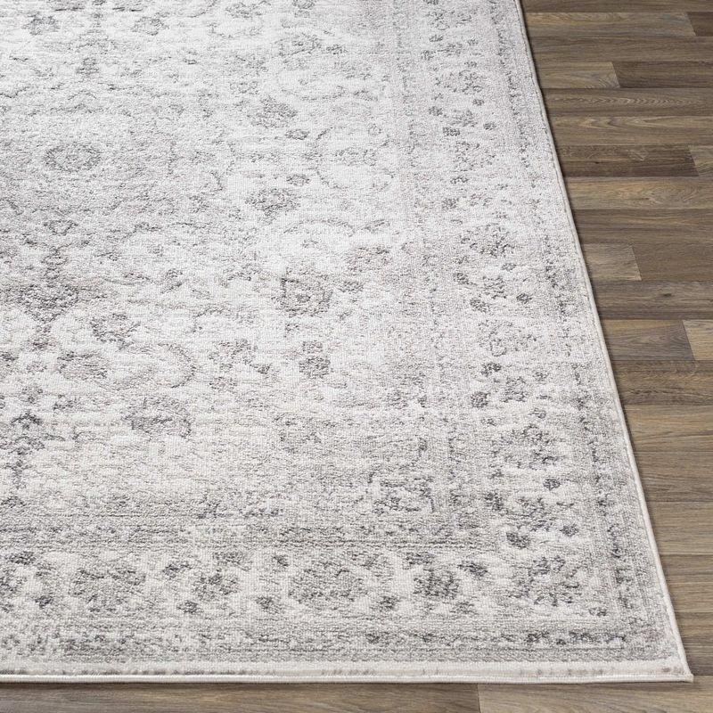 Terband Traditional Area Rug