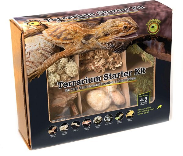 Galapagos Terrarium Starter Kit