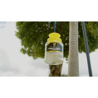 Raid Reusable Yellow Jacket Wasp and Hornet Trap​ RAID-WASPJAR