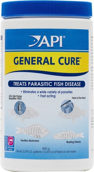 API General Cure Freshwater and Saltwater Aquarium Parasitic Fish Disease Treatment