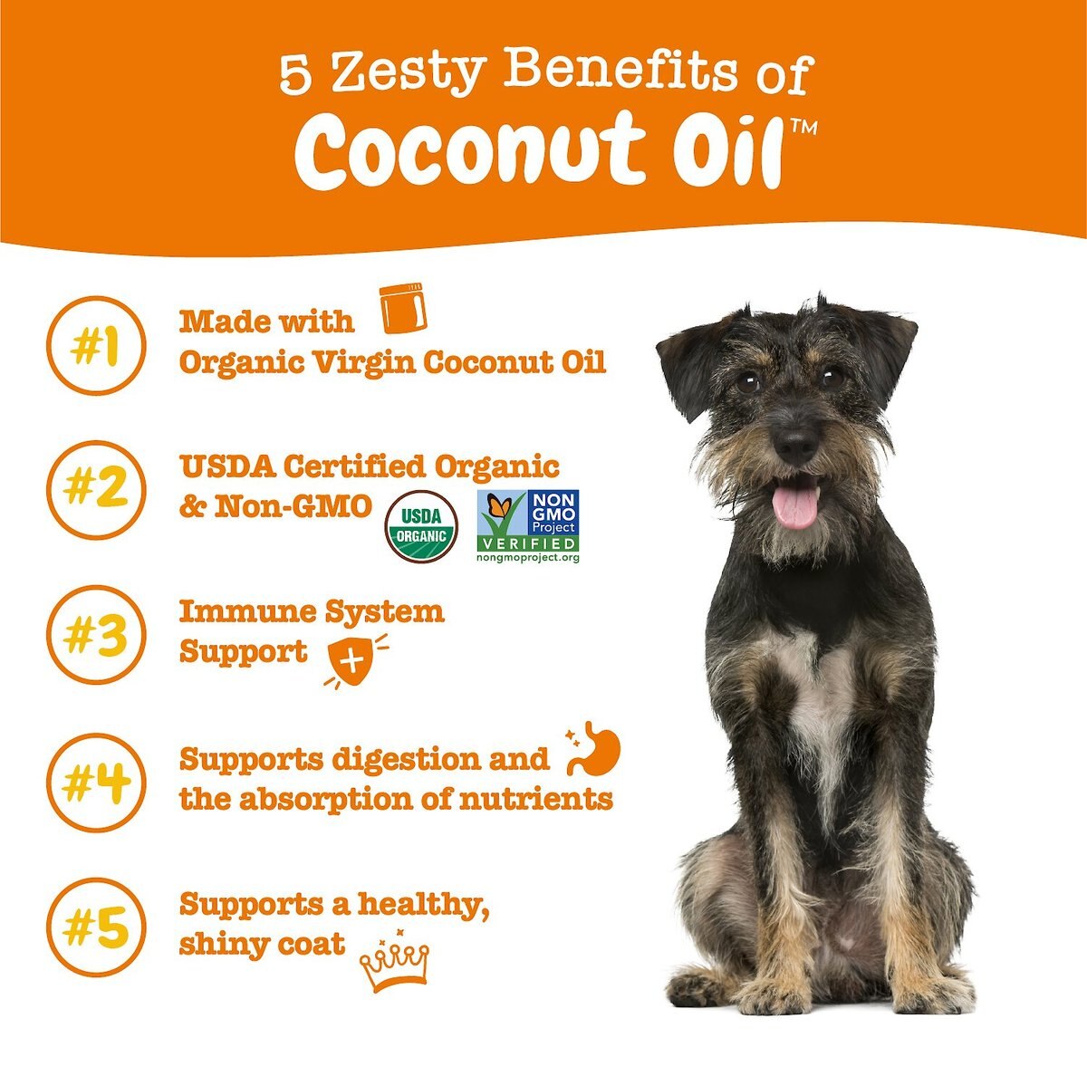 Zesty Paws Coconut Oil Coconut Flavored Liquid Skin and Coat Supplement for Dogs