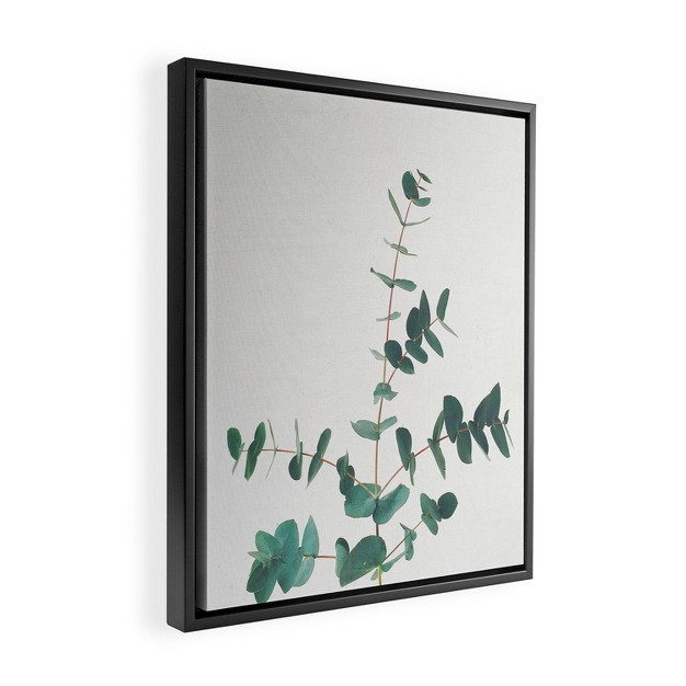 Cassia Beck The Eucalyptus Framed Canvas Society6